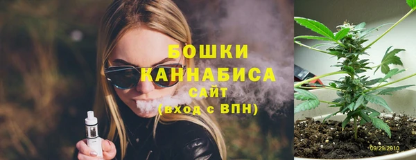шишки Козельск