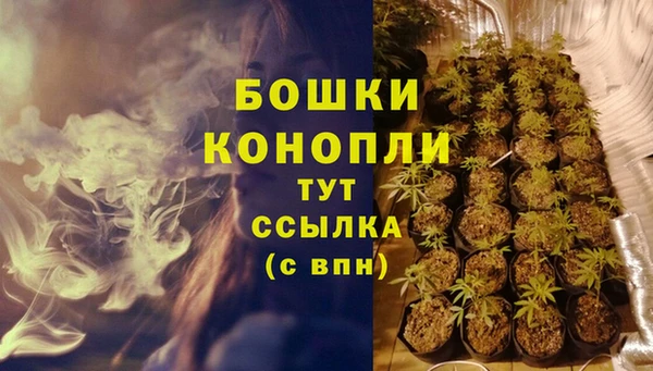 шишки Козельск
