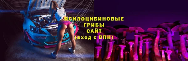 шишки Козельск