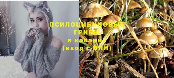 мяу мяу мука Кодинск