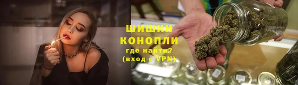 мдпв Козловка