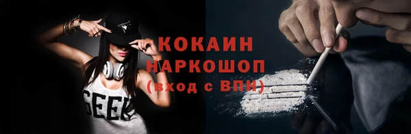 шишки Козельск