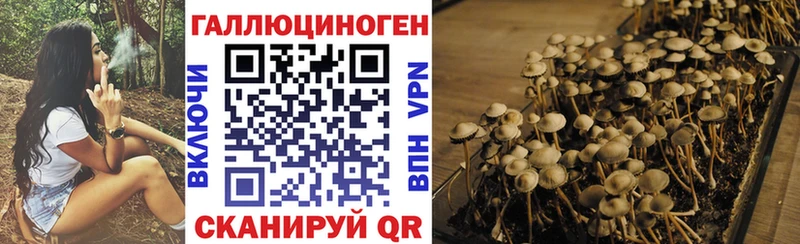 Галлюциногенные грибы GOLDEN TEACHER даркнет сайт Краснокамск