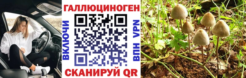 Псилоцибиновые грибы Magic Shrooms Краснокамск