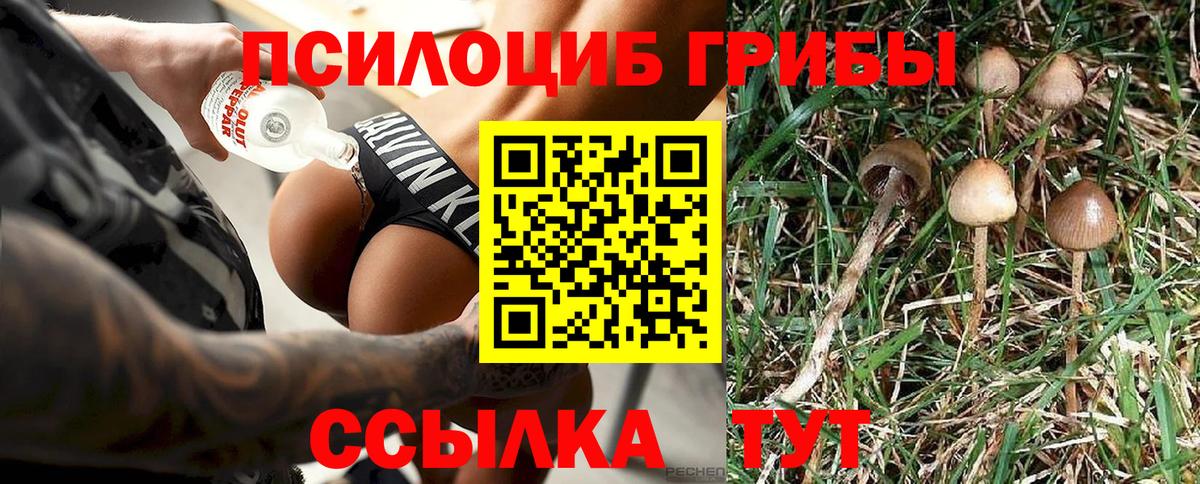 Псилоцибиновые грибы Cubensis Краснокамск
