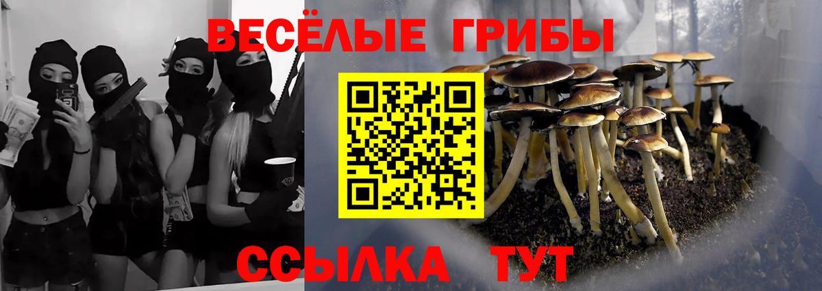 Краснокамск  Галлюциногенные грибы мицелий  где купить наркоту  Галлюциногенные грибы GOLDEN TEACHER  Вход с VPN 